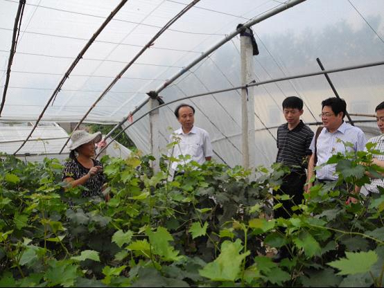 人文社科专家与农业科技专家携手“三解三促”