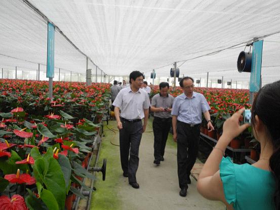 省社科联携手南京农业大学赴灌南开展“三解三促”活动剪影